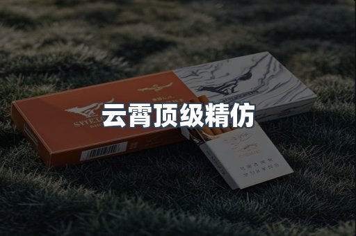 云霄顶级精仿